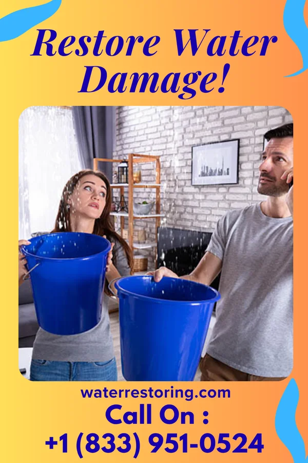 water restoration Total Water Cleanup LLC Wingo