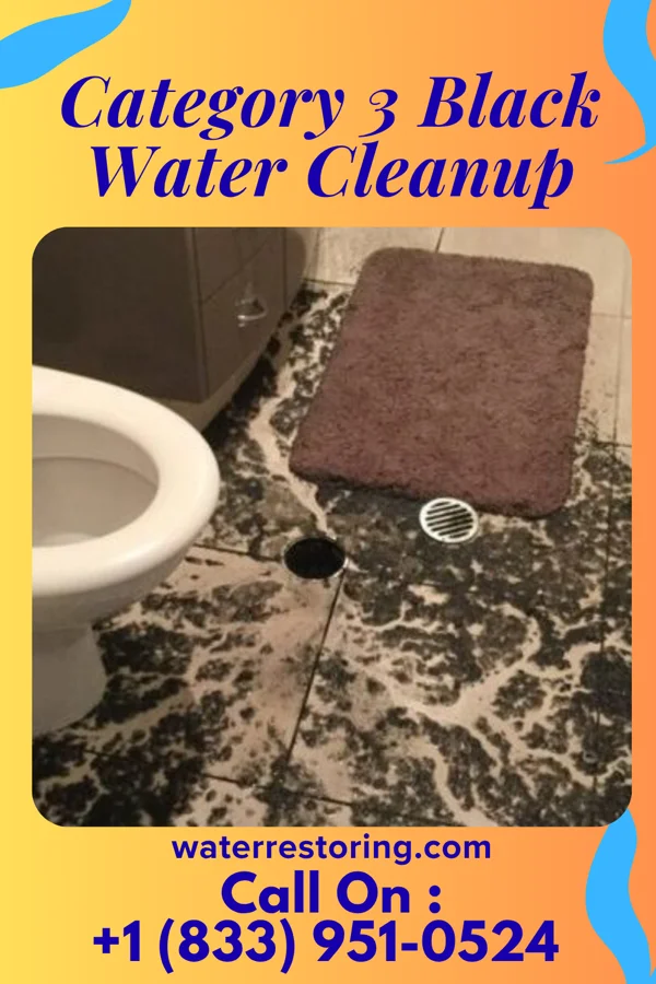 Category 3 Black Water Cleanup in Wingo, KY