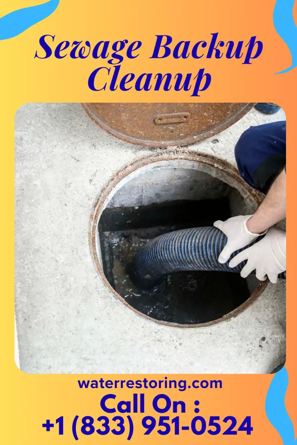 Sewage Backup Cleanup in Wingo, KY